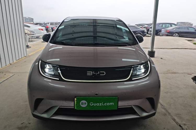 Used BYD Dolphin 2024 Honor Edition 420km Fashion Version Front