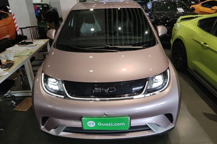 Used BYD Dolphin 2024 Honor Edition 420km Freedom Version Front