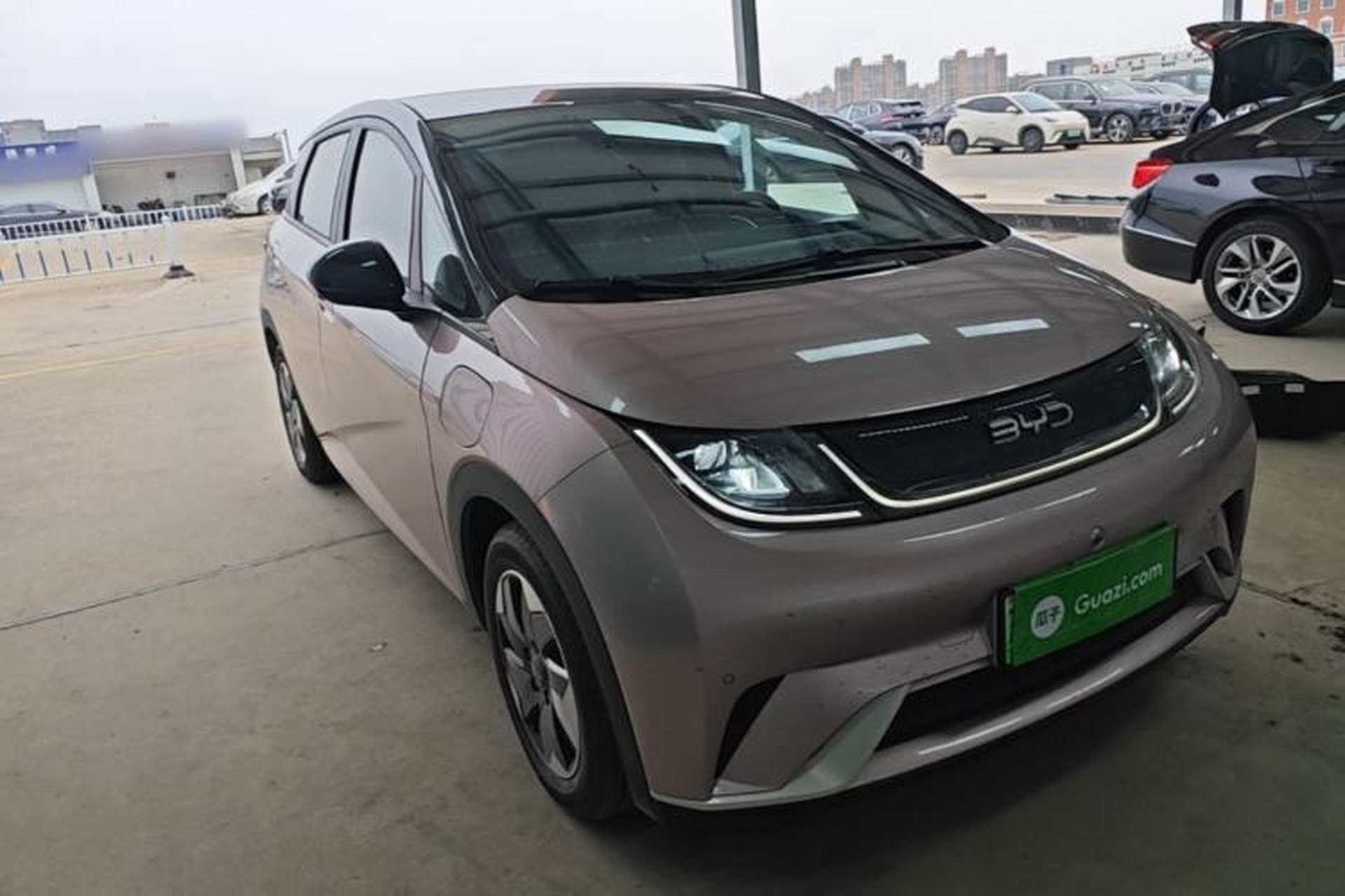 Used BYD Dolphin 2024 Honor Edition 420km Fashion Version Front Right 45 Deg
