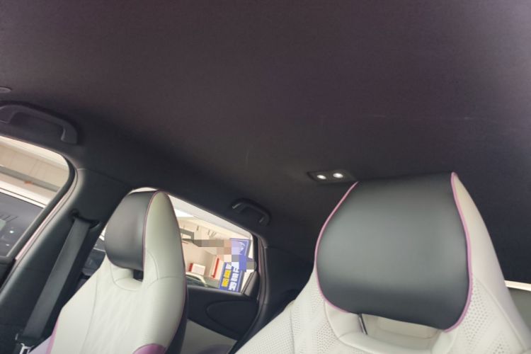 Used BYD Dolphin 2024 Honor Edition 420km Fashion Version Headliner