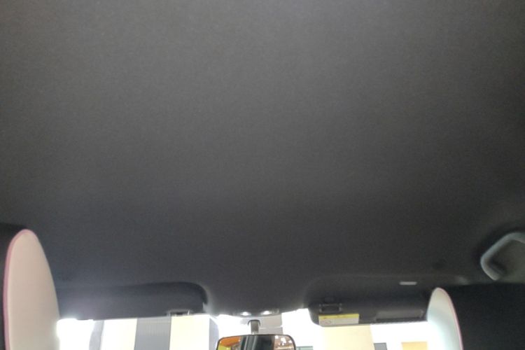 Used BYD Dolphin 2024 Honor Edition 420km Freedom Version Headliner