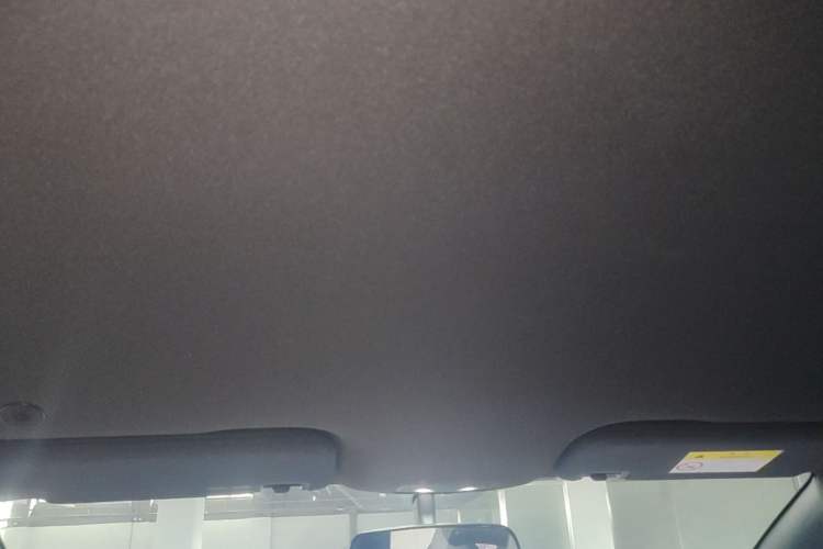Used BYD Dolphin 2024 Honor Edition 420km Freedom Version Headliner