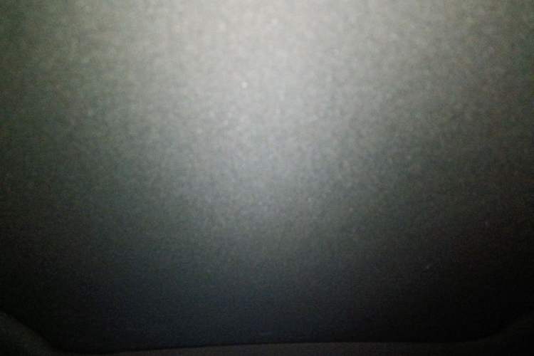 Used BYD Dolphin 2024 Honor Edition 420km Fashion Version Headliner