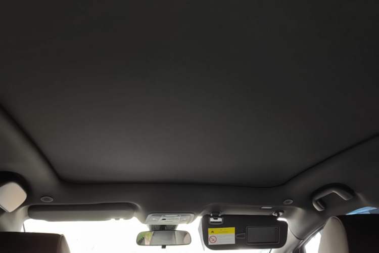 Used BYD Dolphin 2024 Honor Edition 420km Fashion Version Headliner