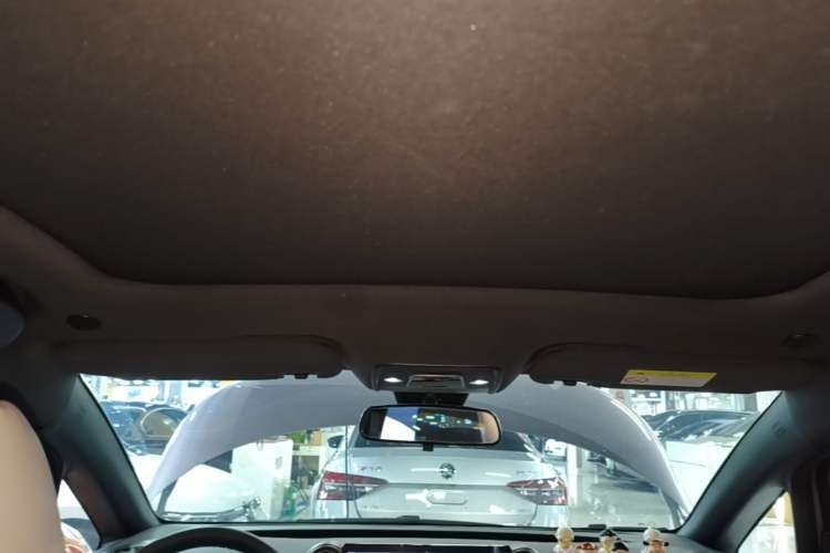Used BYD Dolphin 2024 Honor Edition 420km Fashion Version Headliner