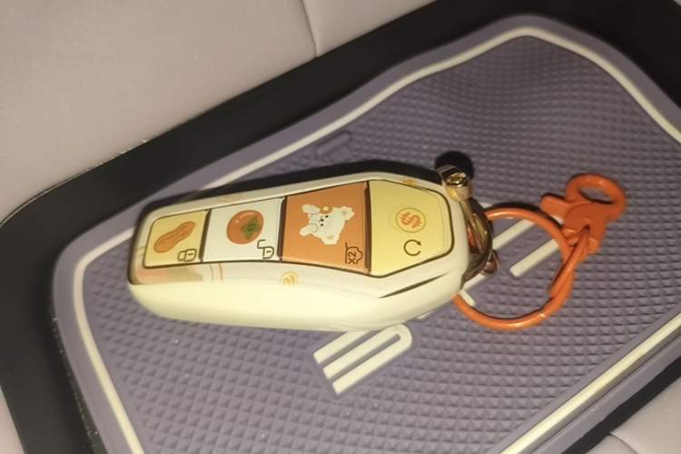 Used BYD Dolphin 2024 Honor Edition 420km Fashion Version Interior 1