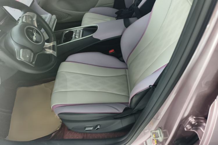 Used BYD Dolphin 2024 Honor Edition 420km Fashion Version Left Front Seat