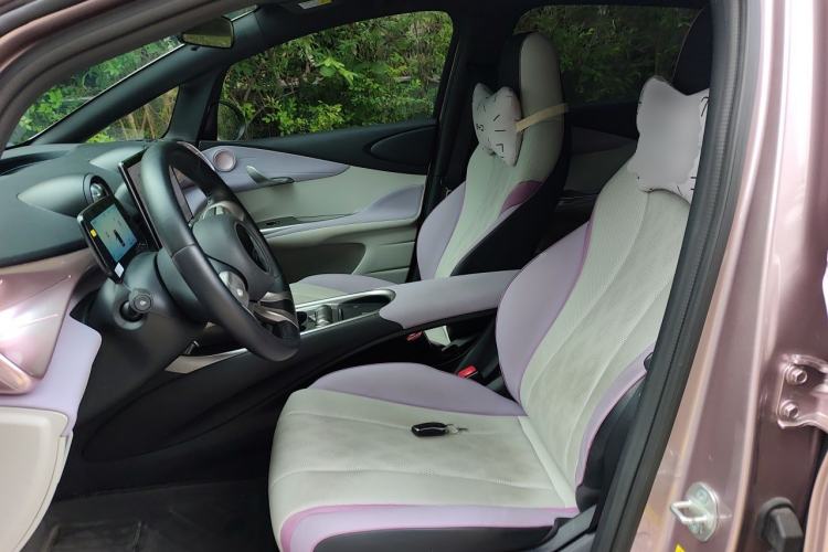 Used BYD Dolphin 2024 Honor Edition 420km Fashion Version Left Front Seat