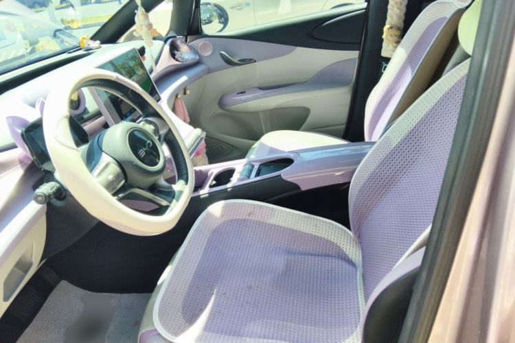 Used BYD Dolphin 2024 Honor Edition 420km Fashion Version Left Front Seat
