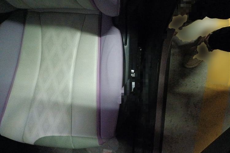 Used BYD Dolphin 2024 Honor Edition 420km Fashion Version Left Front Seat
