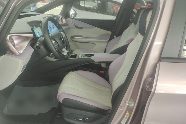 Used BYD Dolphin 2024 Honor Edition 420km Fashion Version Left Front Seat