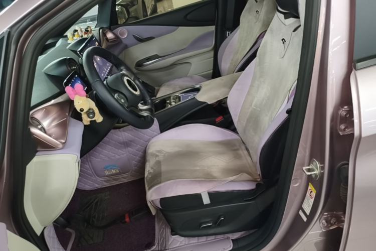 Used BYD Dolphin 2024 Honor Edition 420km Fashion Version Left Front Seat
