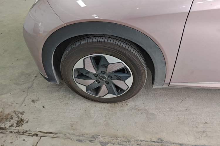 Used BYD Dolphin 2024 Honor Edition 420km Fashion Version Left Front Wheel Hub