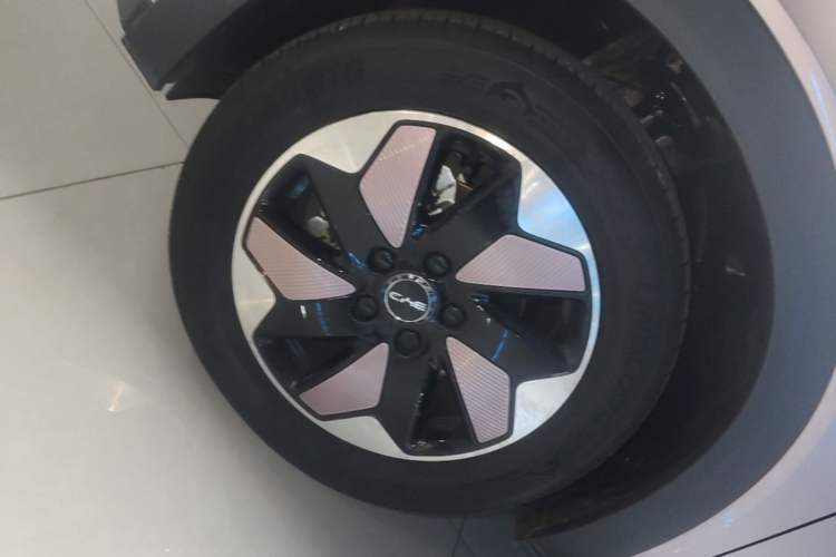 Used BYD Dolphin 2024 Honor Edition 420km Freedom Version Left Front Wheel Hub