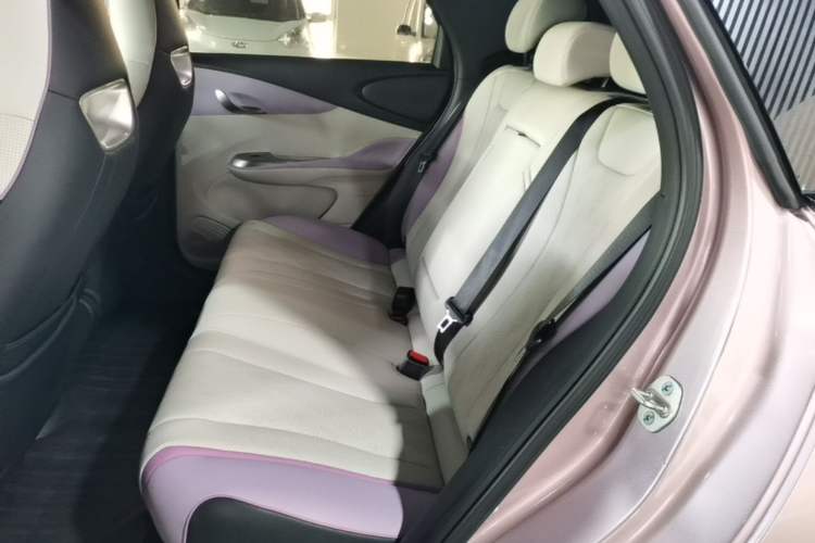 Used BYD Dolphin 2024 Honor Edition 420km Fashion Version Left Rear Seat