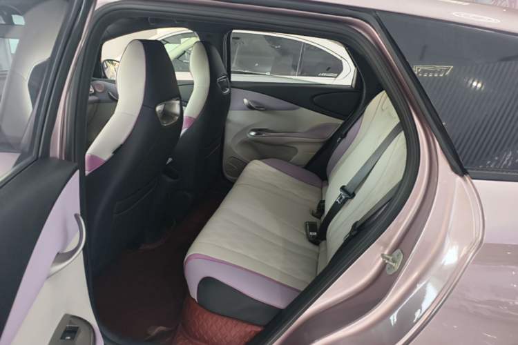 Used BYD Dolphin 2024 Honor Edition 420km Fashion Version Left Rear Seat
