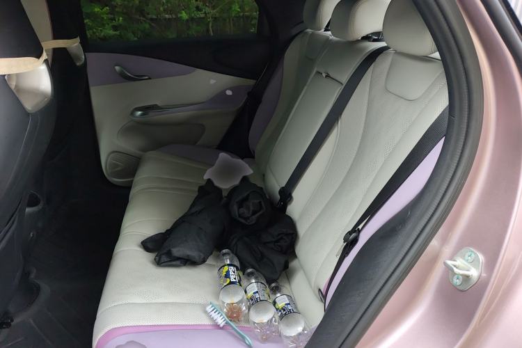 Used BYD Dolphin 2024 Honor Edition 420km Fashion Version Left Rear Seat