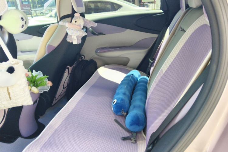 Used BYD Dolphin 2024 Honor Edition 420km Fashion Version Left Rear Seat
