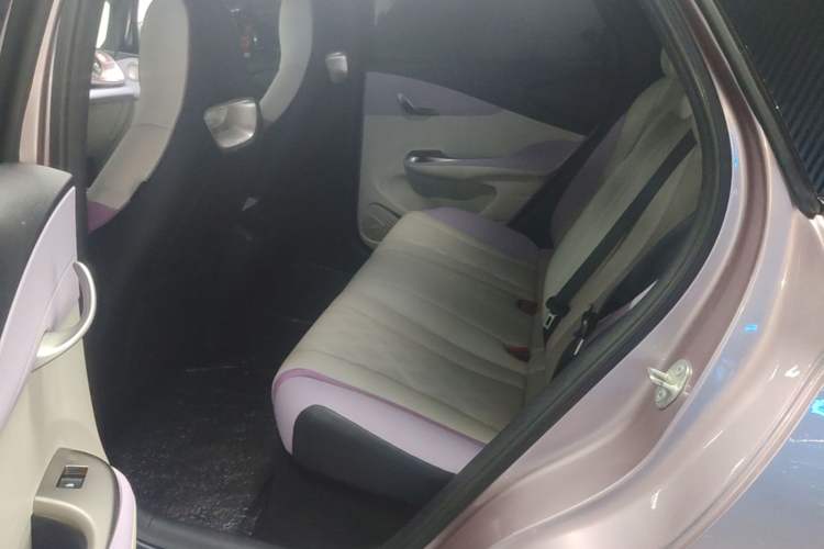 Used BYD Dolphin 2024 Honor Edition 420km Freedom Version Left Rear Seat