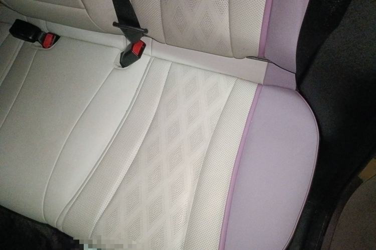 Used BYD Dolphin 2024 Honor Edition 420km Fashion Version Left Rear Seat