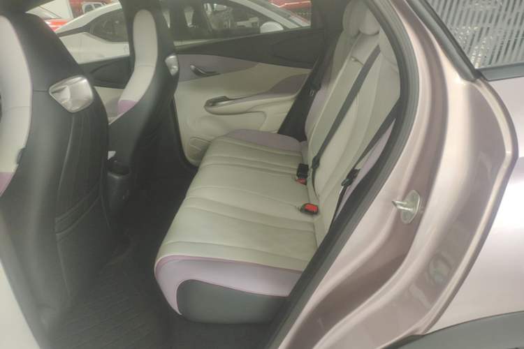 Used BYD Dolphin 2024 Honor Edition 420km Fashion Version Left Rear Seat