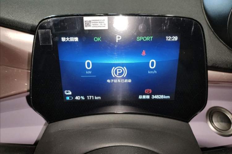Used BYD Dolphin 2024 Honor Edition 420km Freedom Version Odometer Close Up