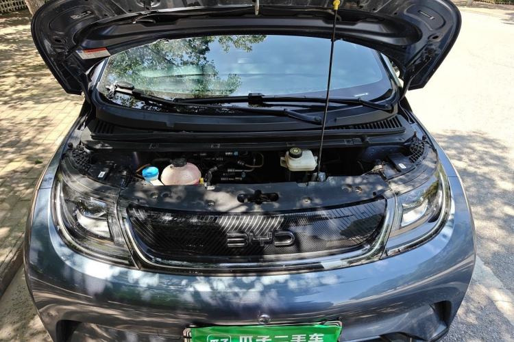 Used BYD Dolphin 2024 Honor Edition 420km Fashion Version Engine Bay