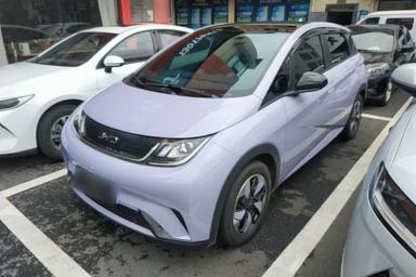 Used BYD Dolphin 2024 Honor Edition 420km Fashion Version