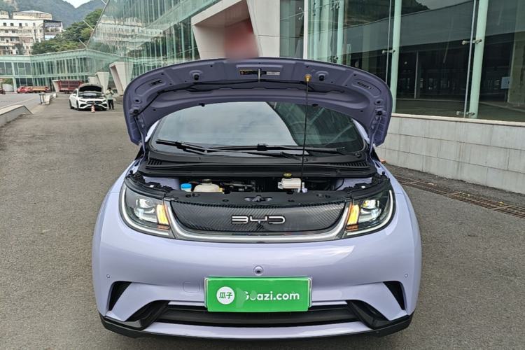 Used BYD Dolphin 2024 Honor Edition 420km Fashion Version Engine Bay