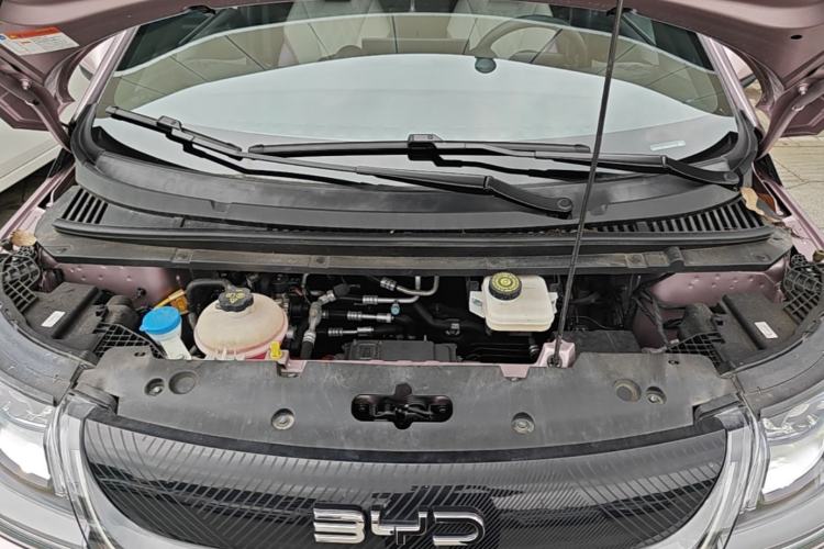 Used BYD Dolphin 2024 Honor Edition 420km Freedom Version Engine Bay