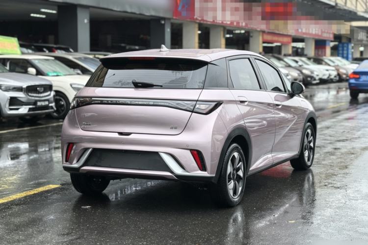 Used BYD Dolphin 2024 Honor Edition 420km Freedom Version Exterior 2