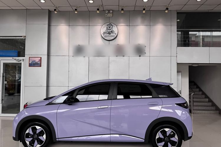 Used BYD Dolphin 2024 Honor Edition 420km Fashion Version Exterior 3