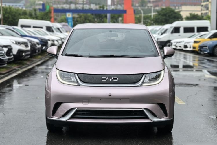 Used BYD Dolphin 2024 Honor Edition 420km Freedom Version Exterior 3