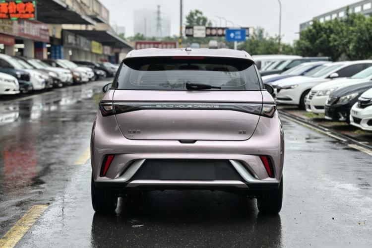Used BYD Dolphin 2024 Honor Edition 420km Freedom Version Exterior 4