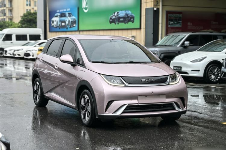 Used BYD Dolphin 2024 Honor Edition 420km Freedom Version Exterior 5