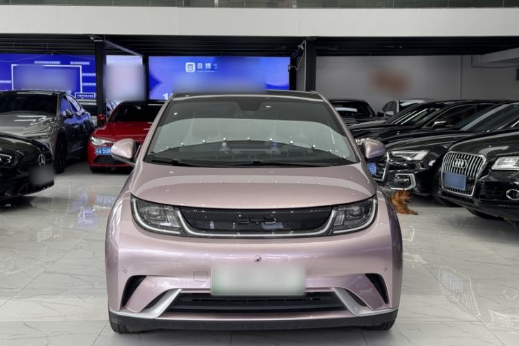 Used BYD Dolphin 2024 Honor Edition 420km Fashion Version Exterior 5