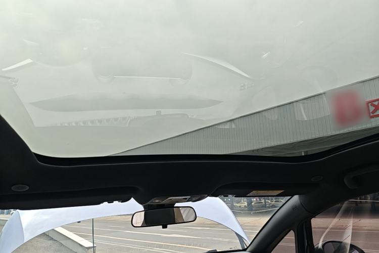 Used BYD Dolphin 2024 Honor Edition 420km Fashion Version Headliner