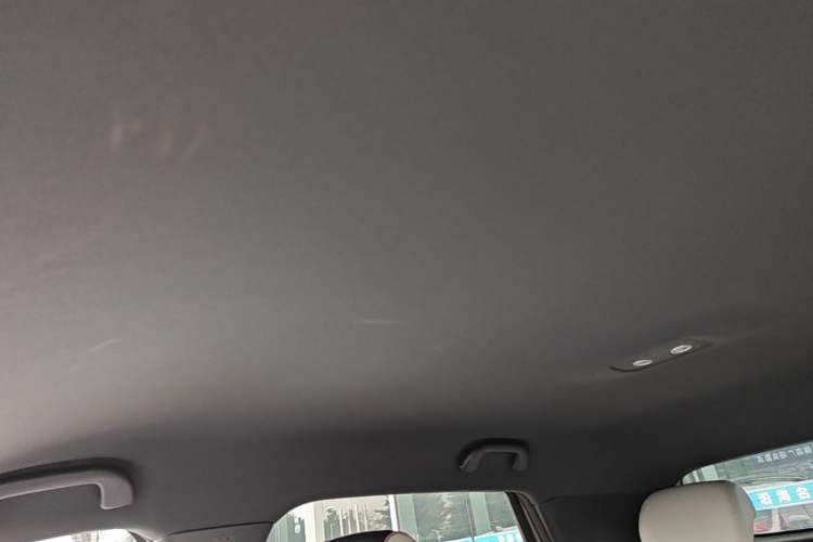 Used BYD Dolphin 2024 Honor Edition 420km Freedom Version Headliner