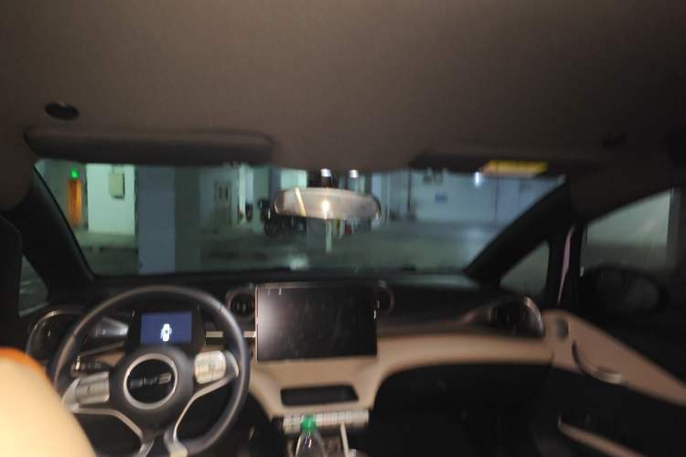 Used BYD Dolphin 2024 Honor Edition 420km Freedom Version Headliner