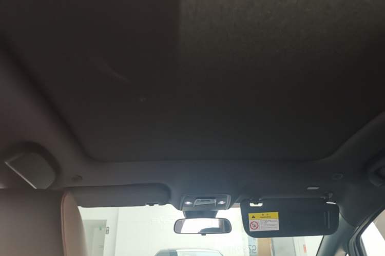 Used BYD Dolphin 2024 Honor Edition 420km Fashion Version Headliner