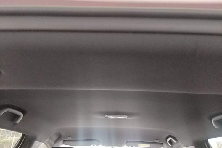 Used BYD Dolphin 2024 Honor Edition 420km Freedom Version Headliner
