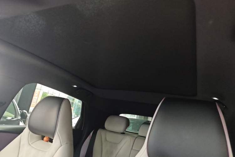 Used BYD Dolphin 2024 Honor Edition 420km Fashion Version Headliner