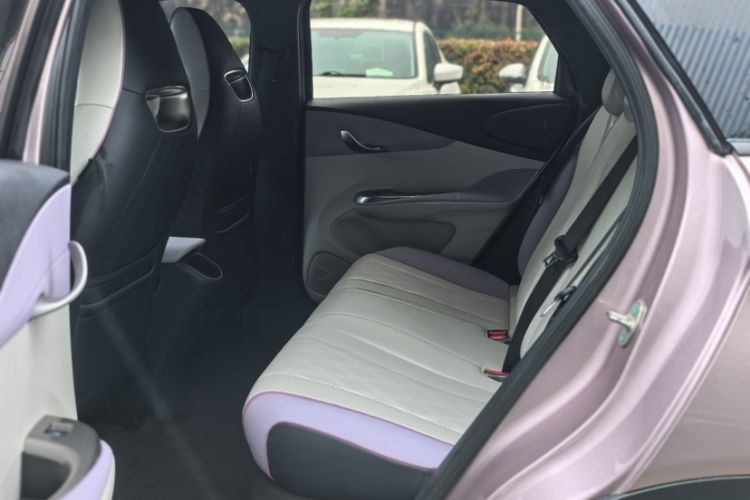 Used BYD Dolphin 2024 Honor Edition 420km Freedom Version Interior 3