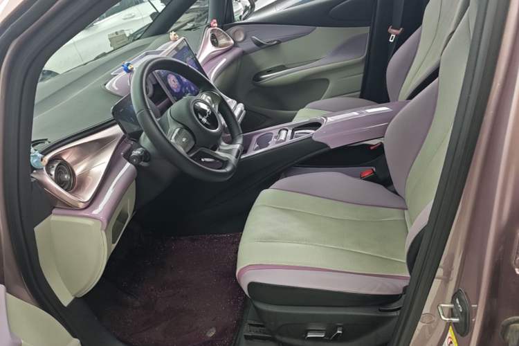 Used BYD Dolphin 2024 Honor Edition 420km Fashion Version Left Front Seat