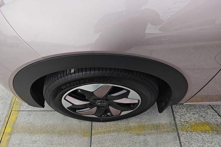 Used BYD Dolphin 2024 Honor Edition 420km Freedom Version Left Front Wheel Hub