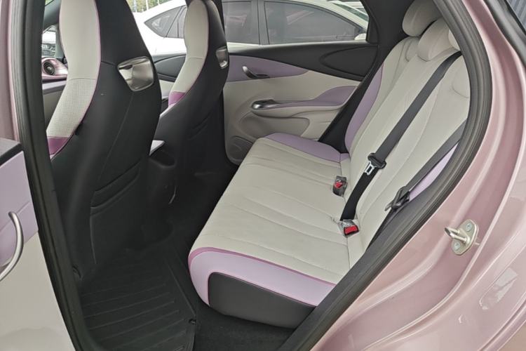 Used BYD Dolphin 2024 Honor Edition 420km Freedom Version Left Rear Seat