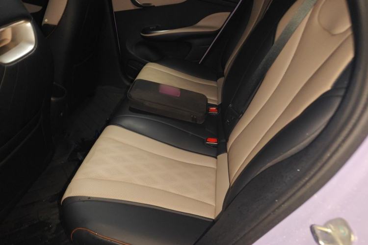 Used BYD Dolphin 2024 Honor Edition 420km Freedom Version Left Rear Seat