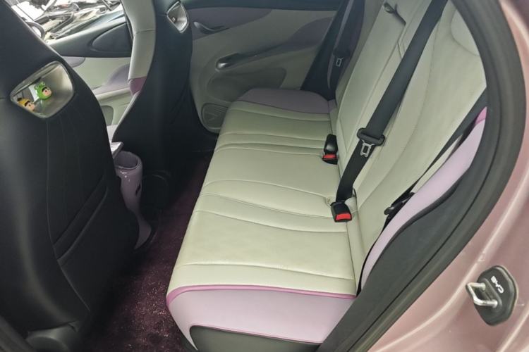 Used BYD Dolphin 2024 Honor Edition 420km Fashion Version Left Rear Seat