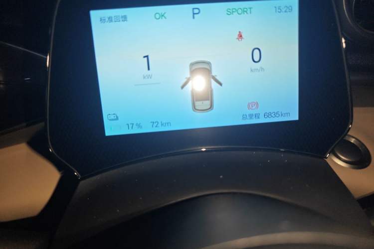 Used BYD Dolphin 2024 Honor Edition 420km Freedom Version Odometer Close Up