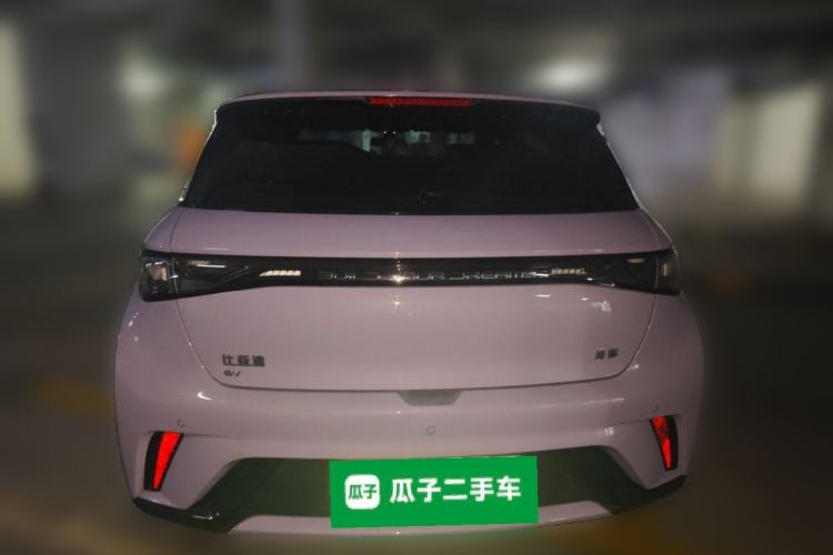 Used BYD Dolphin 2024 Honor Edition 420km Freedom Version Rear